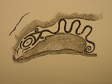 Serpent Mound Sketch